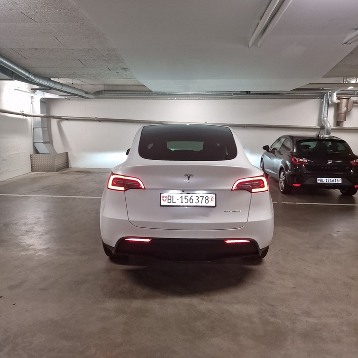 Tesla Model Y Long Range D