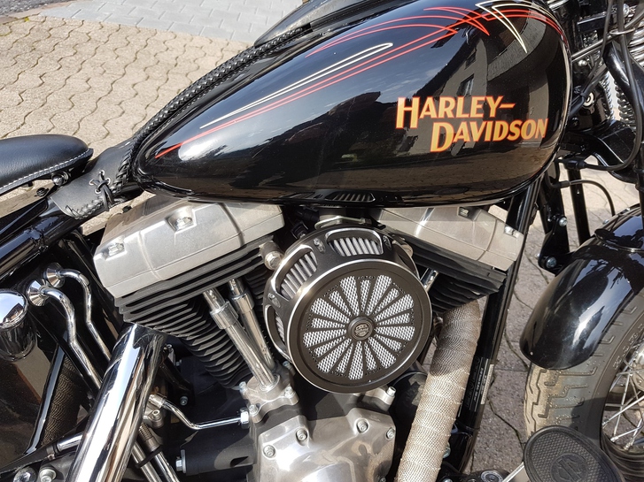 HARLEY-DAVIDSON FLSTSB Cross Bones